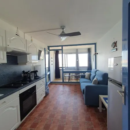 Vue Ile Des Pecheurs * Agde