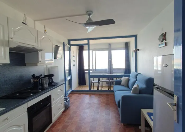 Vue Ile Des Pecheurs * Agde